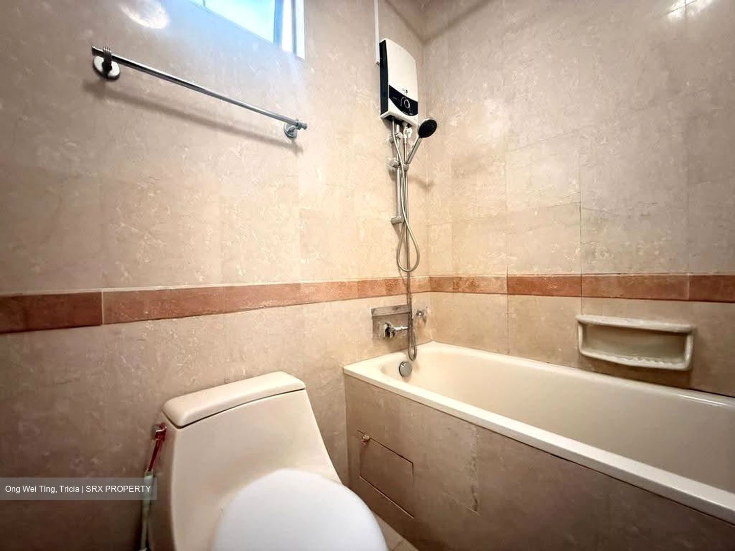 Tanglin Regency (D10), Condominium #613531971